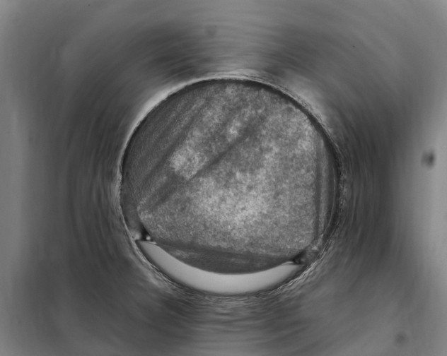 X0000098001332200804211121