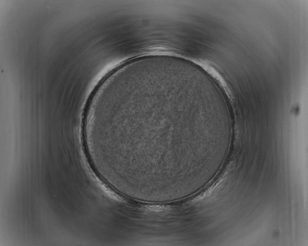 X0000098001333200804211121