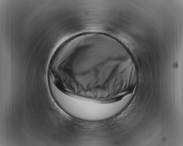 X0000098001334200804211121