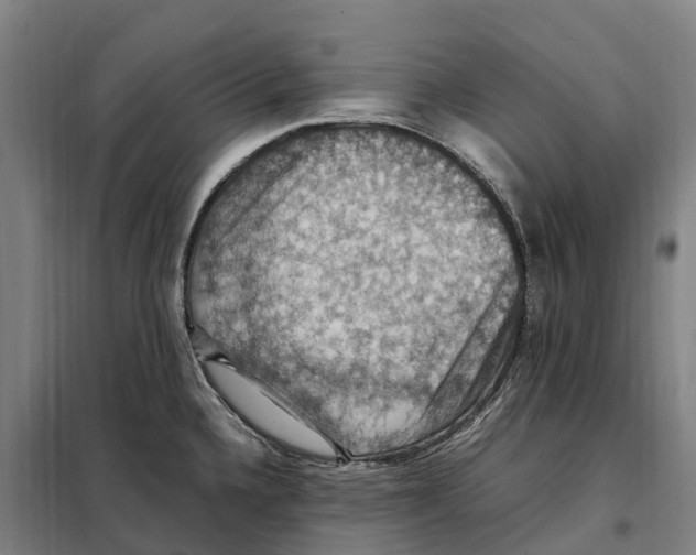 X0000098001336200804211121