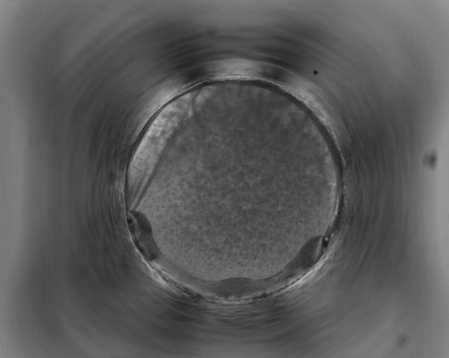 X0000098001337200804211121