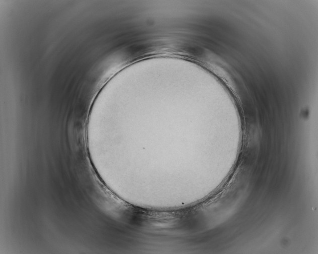 X0000098001338200804211121