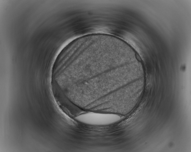 X0000098001339200804211121