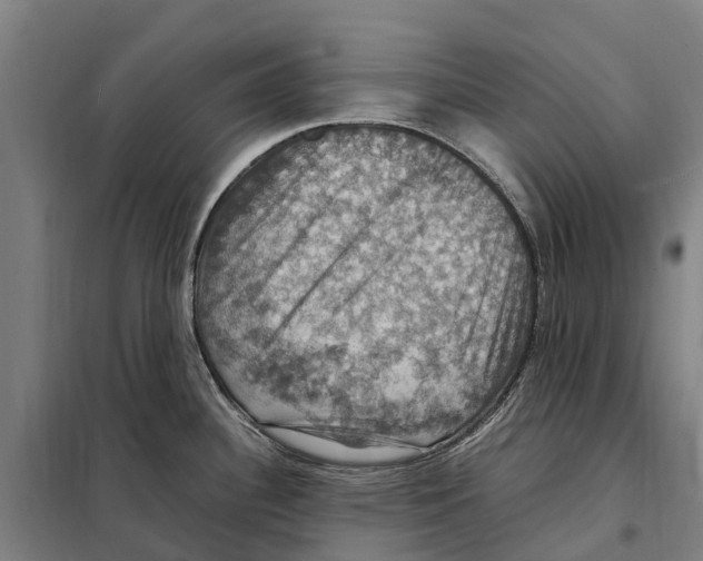 X0000098001340200804211121