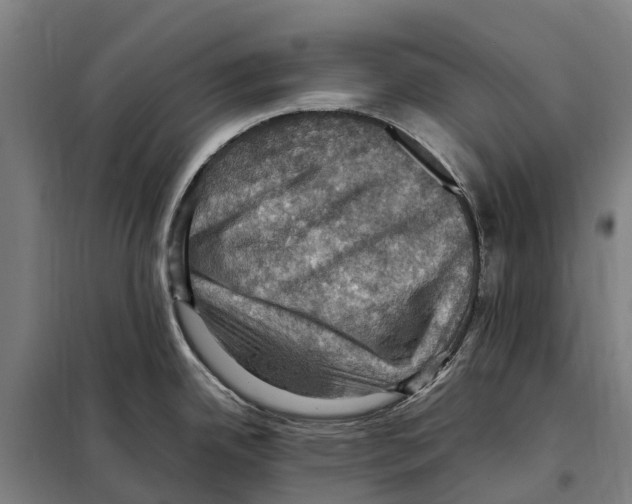 X0000098001342200804211121
