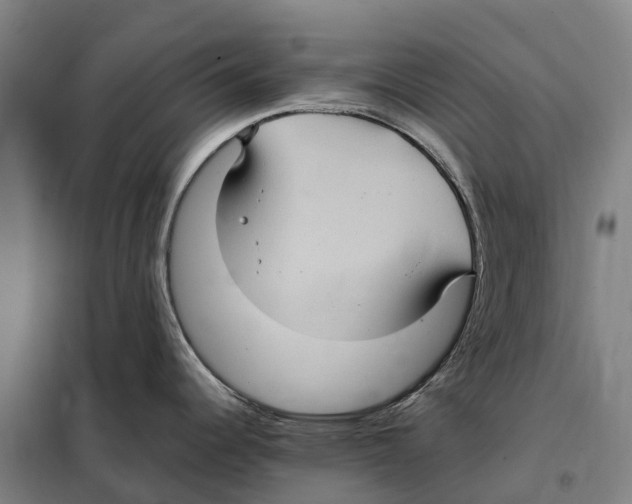 X0000098001344200804211121
