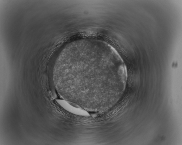 X0000098001345200804211120