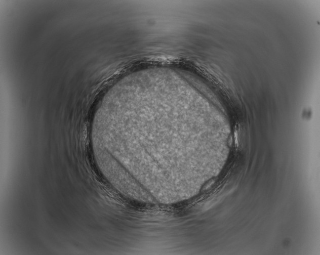 X0000098001347200804211120