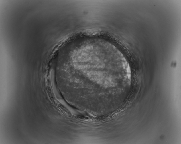 X0000098001349200804211120