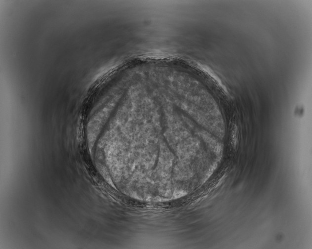 X0000098001350200804211120