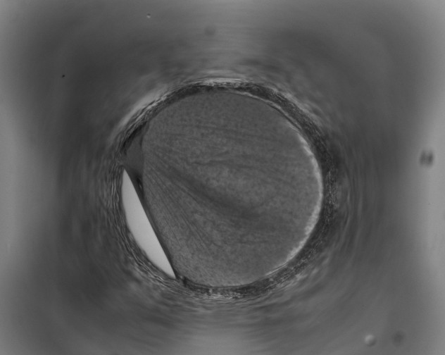 X0000098001351200804211120