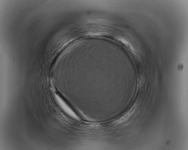 X0000098001353200804211120