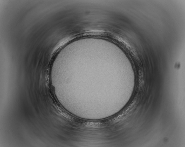 X0000098001354200804211120