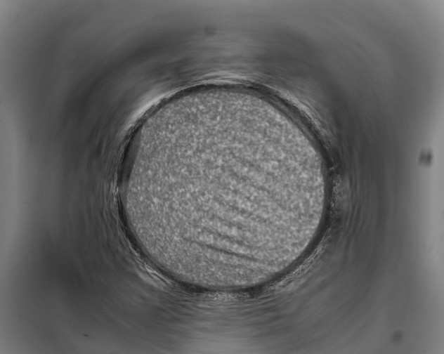 X0000098001355200804211120