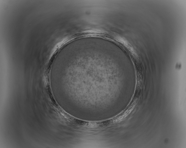X0000098001357200804211120
