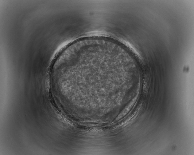 X0000098001358200804211120