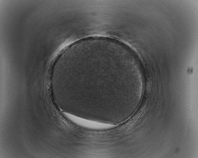 X0000098001359200804211120