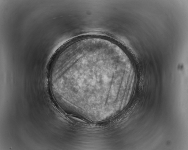 X0000098001360200804211120