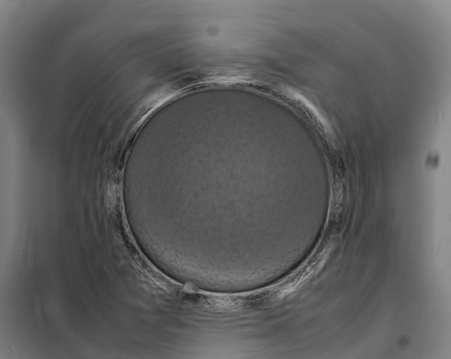 X0000098001361200804211120