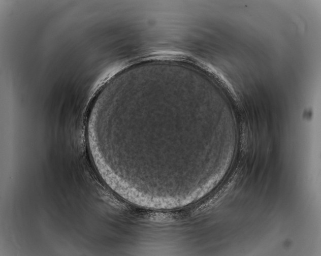 X0000098001362200804211120