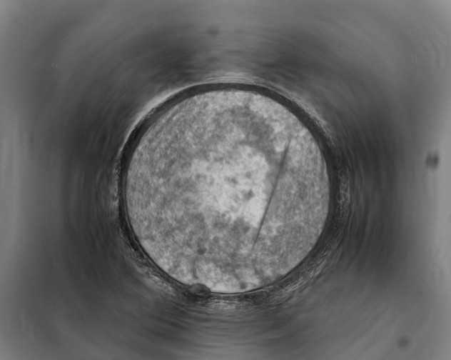 X0000098001364200804211120