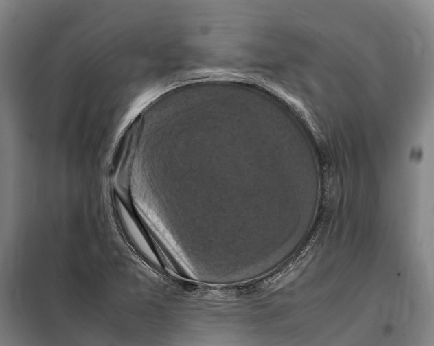 X0000098001365200804211120