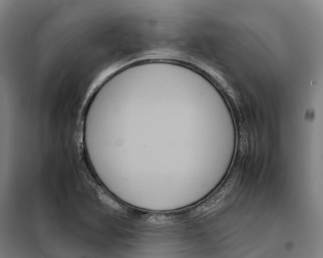 X0000098001366200804211120