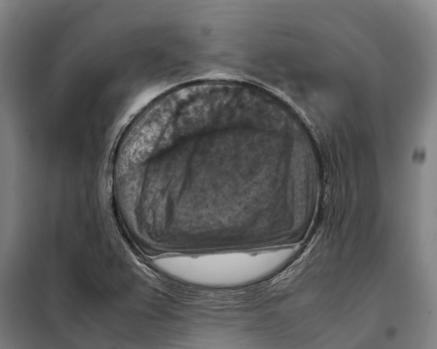 X0000098001367200804211120