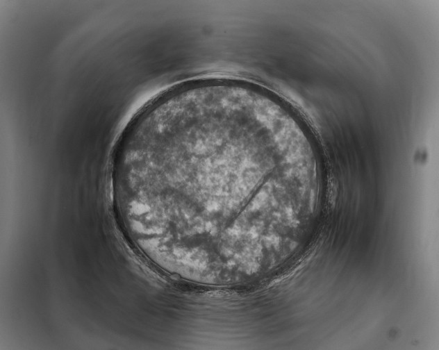 X0000098001368200804211120