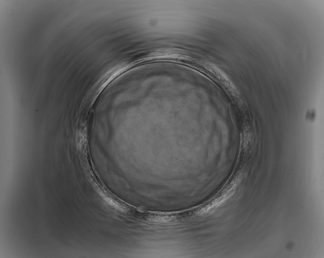 X0000098001369200804211120