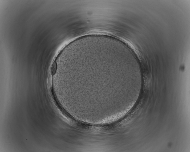 X0000098001371200804211120