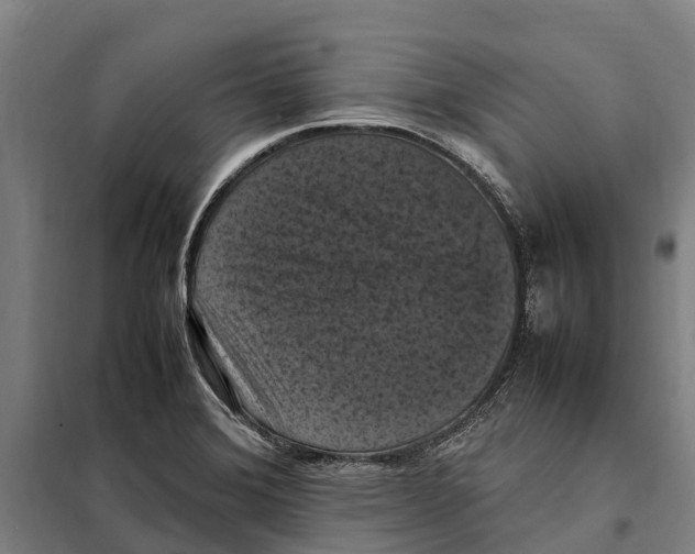 X0000098001372200804211120