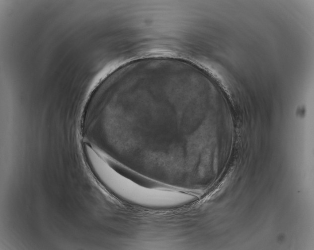 X0000098001373200804211120