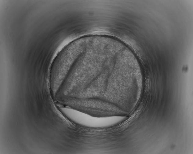 X0000098001374200804211120