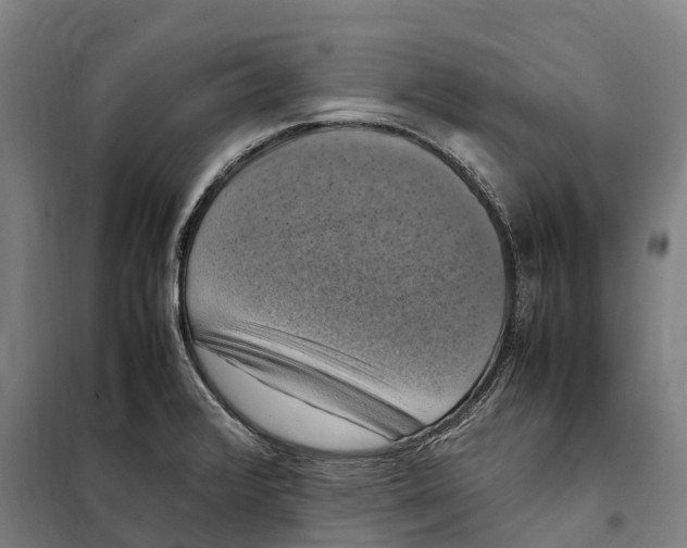 X0000098001376200804211120