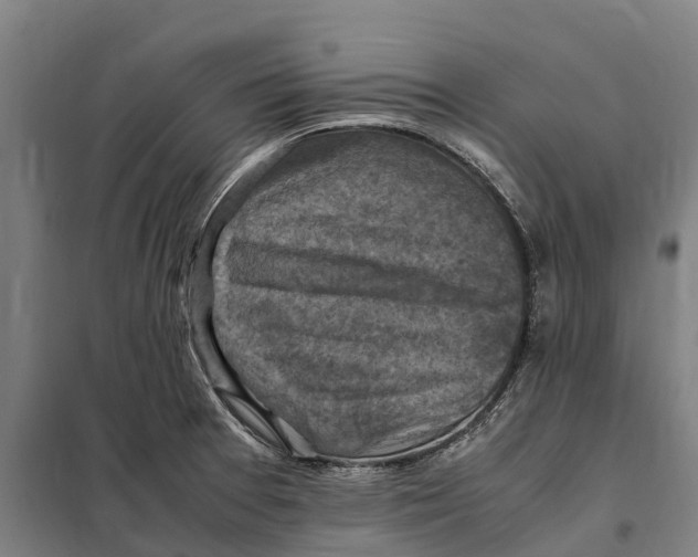 X0000098001377200804211120