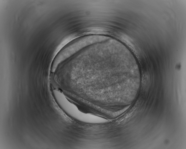 X0000098001378200804211120