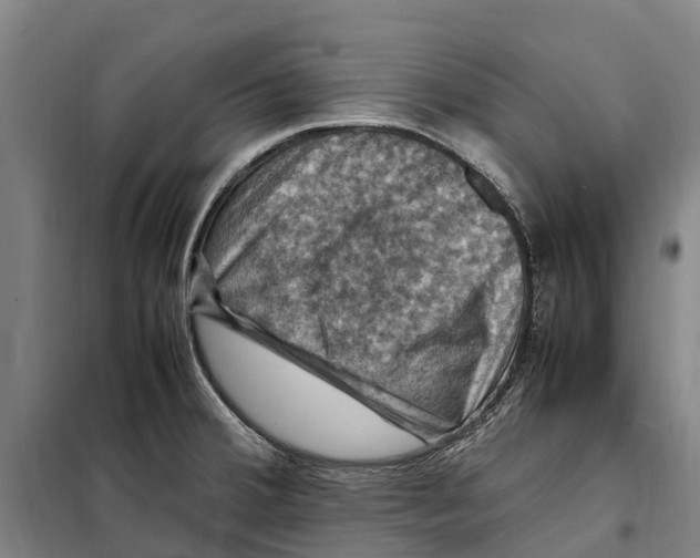 X0000098001380200804211120