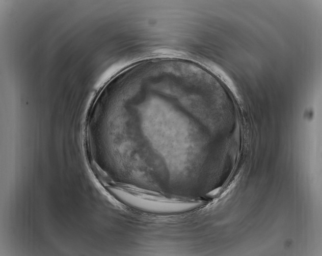 X0000098001381200804211120