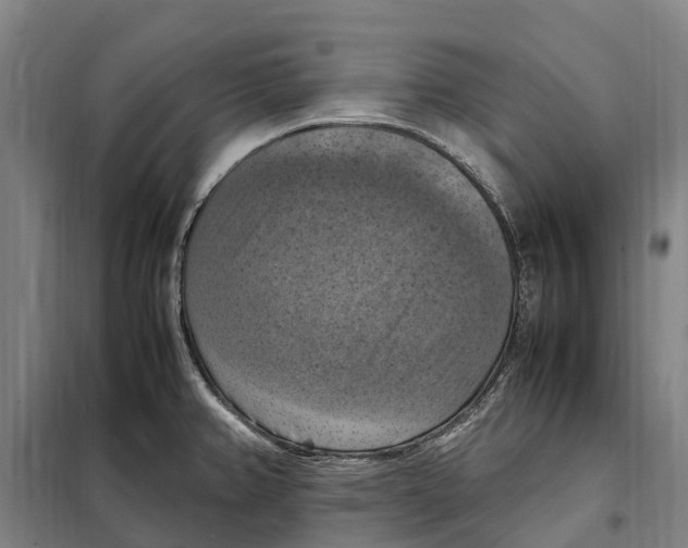 X0000098001382200804211120