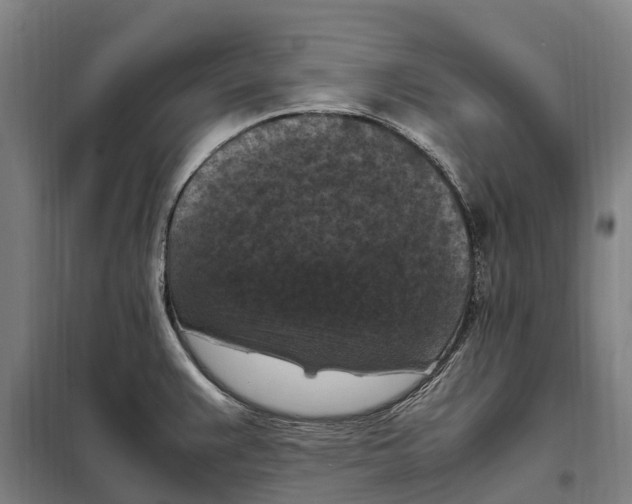 X0000098001383200804211120