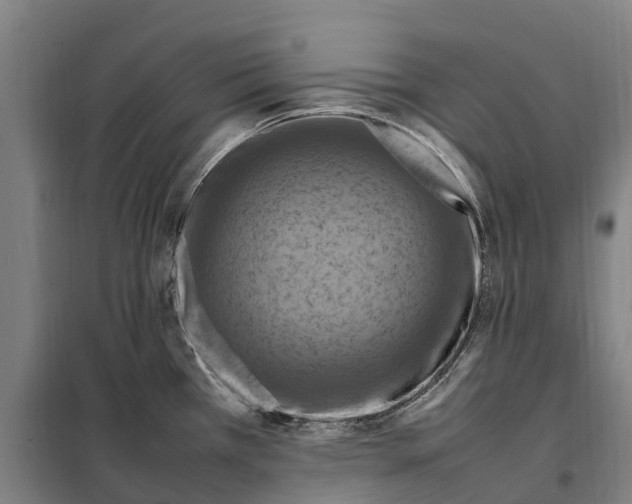 X0000098001385200804211119