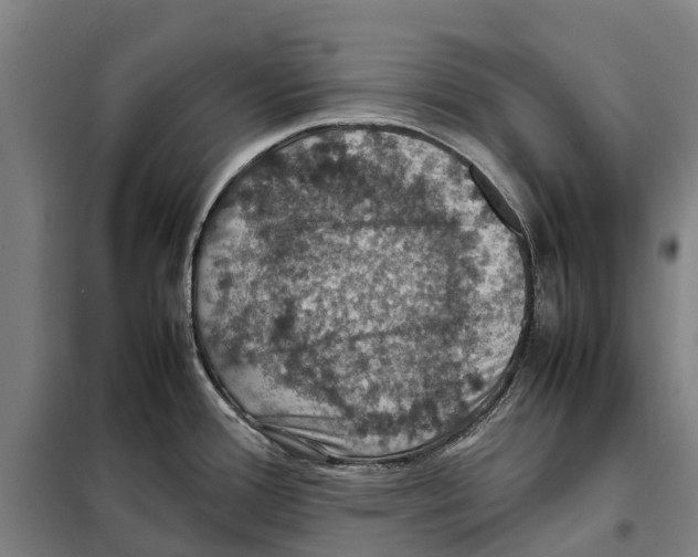 X0000098001388200804211119