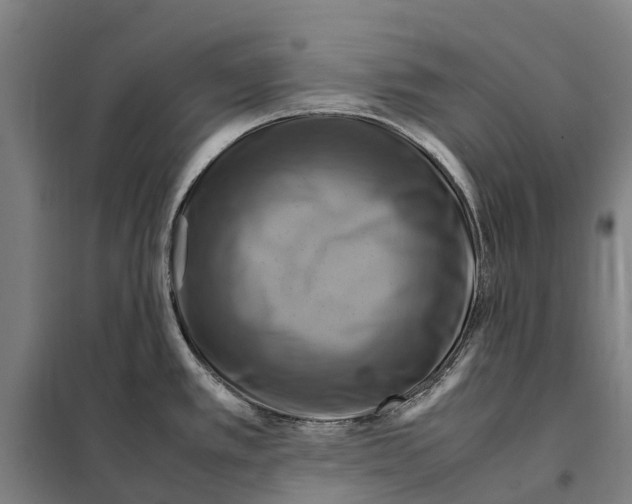 X0000098001389200804211119