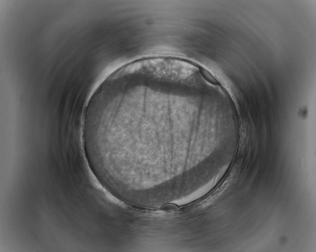 X0000098001390200804211119
