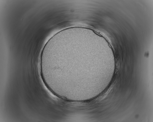 X0000098001391200804211119
