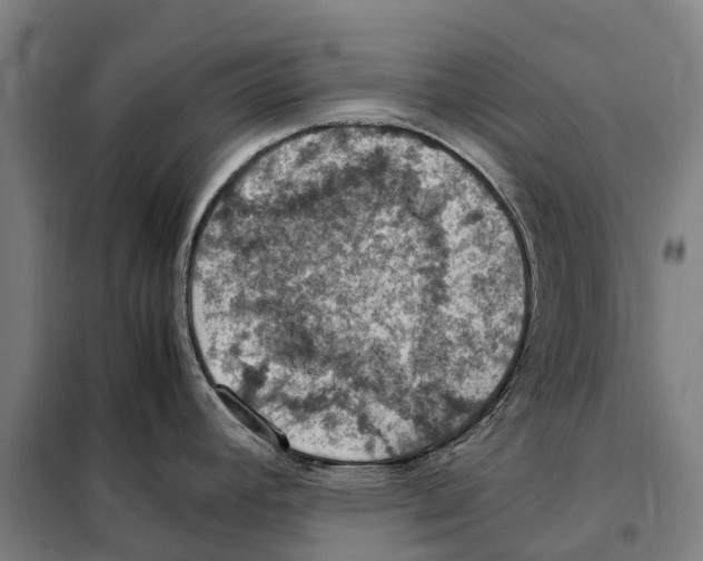 X0000098001392200804211119