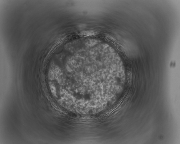 X0000098001393200804211118