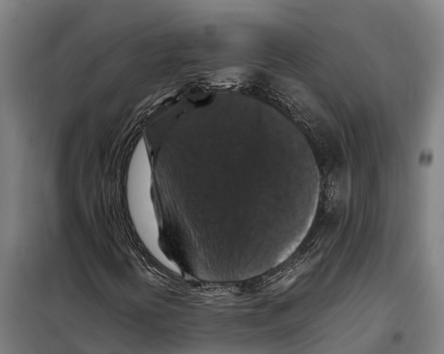 X0000098001394200804211118