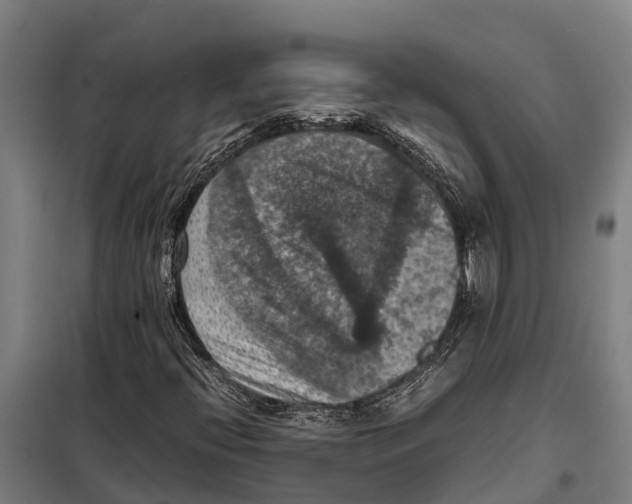 X0000098001396200804211118
